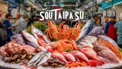 Soutaipasu