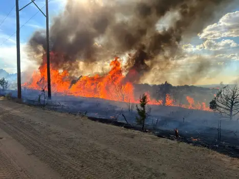 Colorado Fires