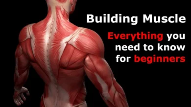 LLFans: Everything You Need to Know About the Platform Gaining