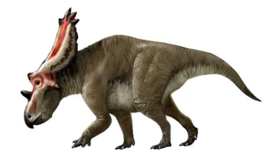 Praetorian Is a Dinosaur Prolly