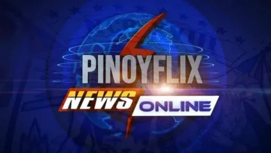 pinayflix art