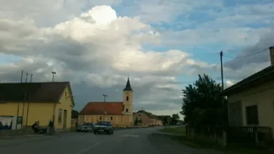 ракитовица