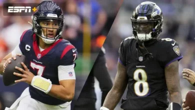 baltimore ravens vs texans match player stats