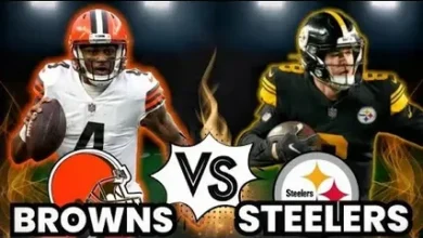 cleveland browns vs pittsburgh steelers match player stats