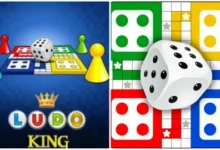 inludo