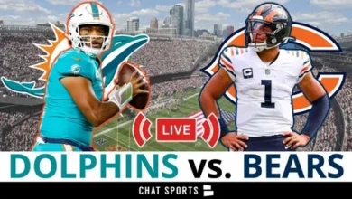 miami dolphins vs chicago bears match player stats