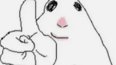 hamster drawing meme